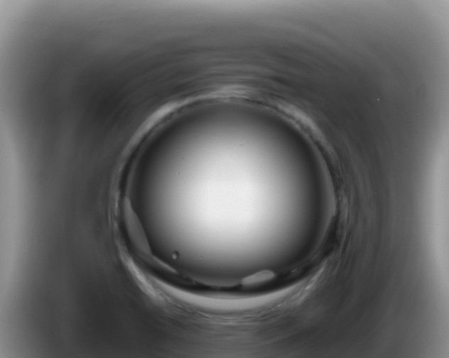 X0000086261422200704051253