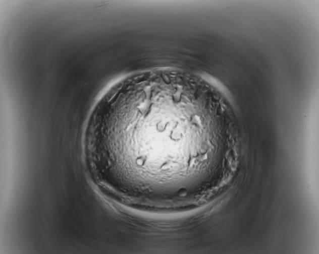 X0000086261423200704051253