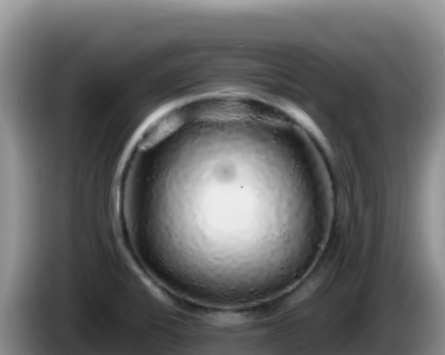 X0000086261424200704051253