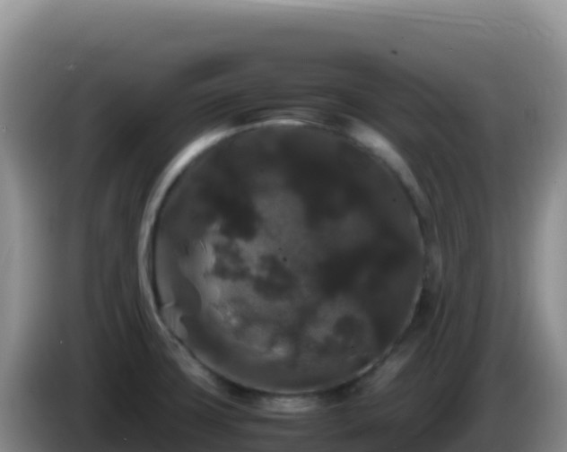 X0000086261427200704051253