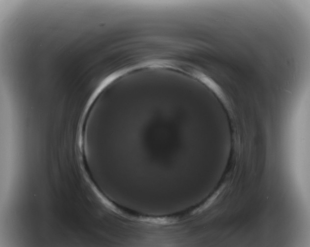 X0000086261428200704051253