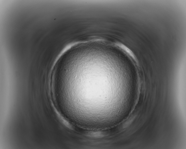 X0000086261431200704051253