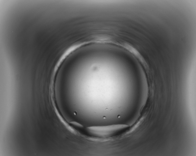 X0000086261432200704051253