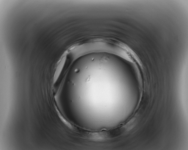 X0000086261433200704051253