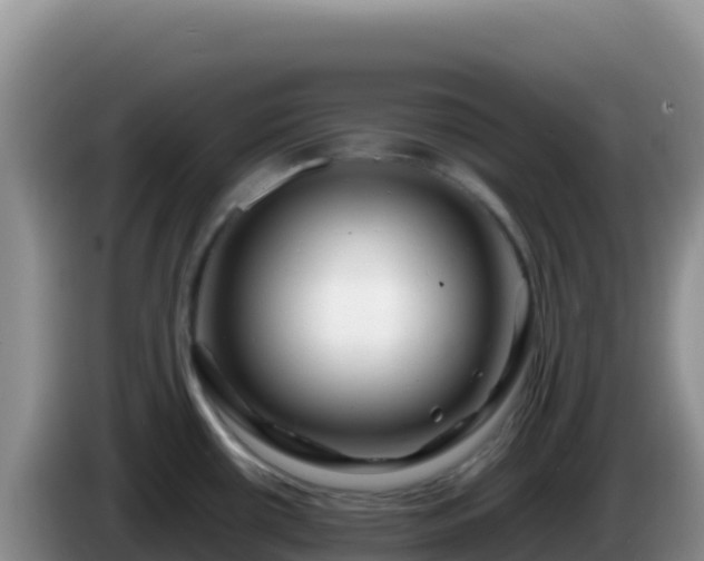X0000086261434200704051253
