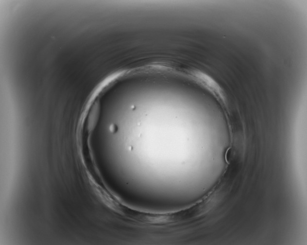 X0000086261435200704051253