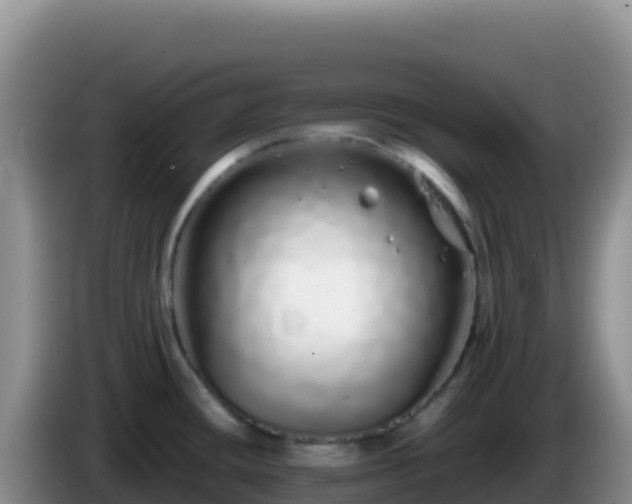 X0000086261436200704051253