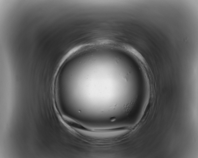 X0000086261439200704051253