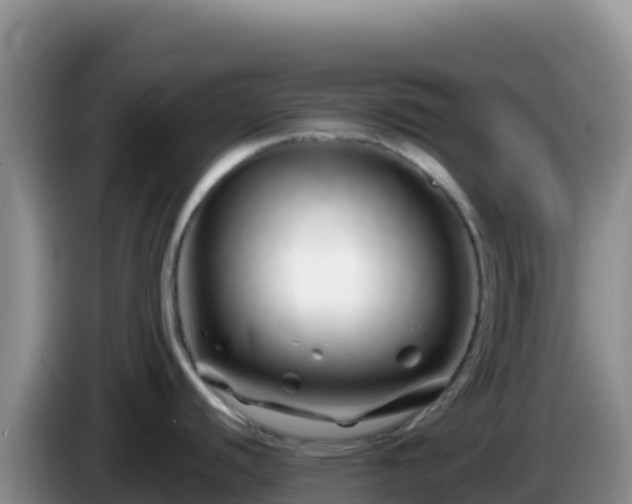 X0000086261440200704051253