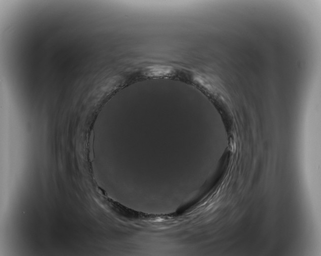 X0000086261441200704051252