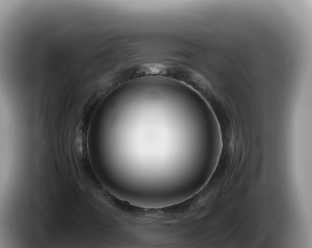 X0000086261442200704051252