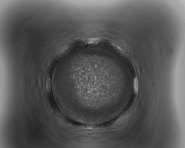 X0000086261443200704051252