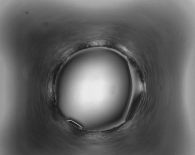X0000086261444200704051252