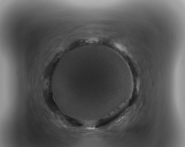 X0000086261445200704051252