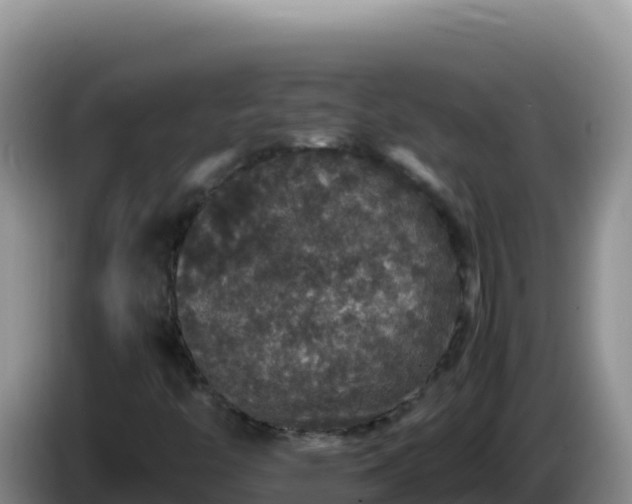 X0000086261446200704051252