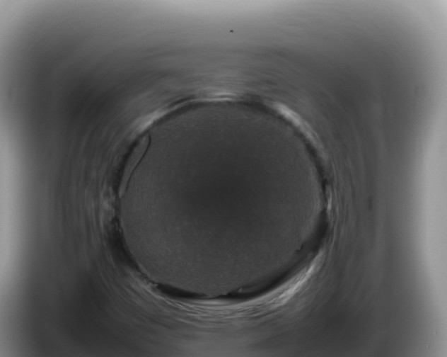 X0000086261449200704051252