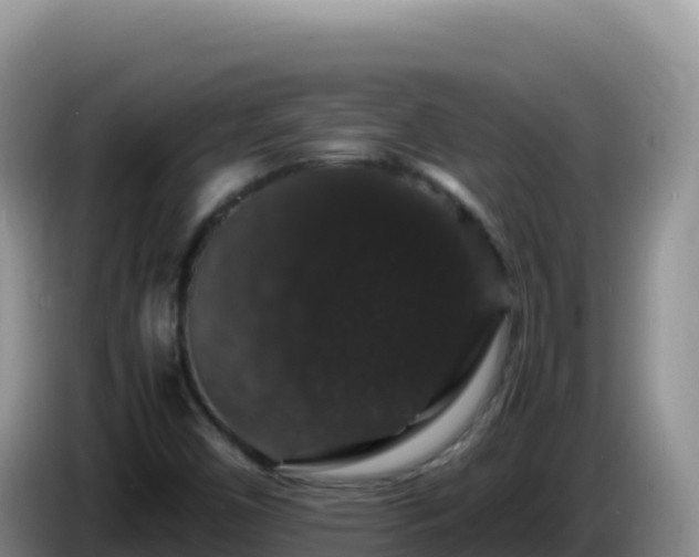 X0000086261450200704051252
