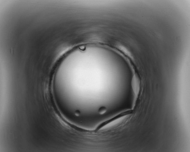 X0000086261452200704051252