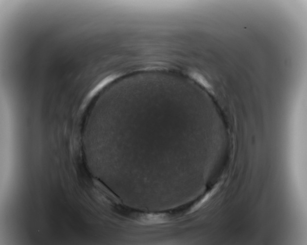 X0000086261453200704051252