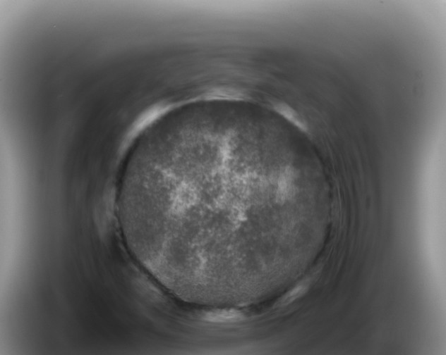 X0000086261454200704051252