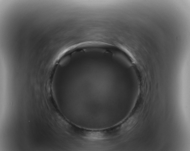 X0000086261455200704051252