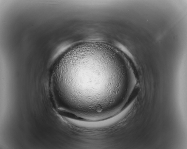 X0000086261456200704051252