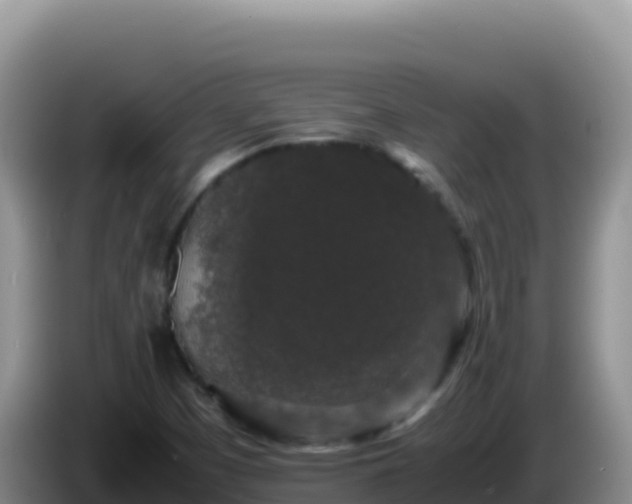 X0000086261457200704051252