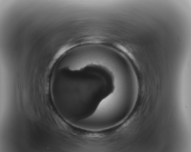 X0000086261459200704051252