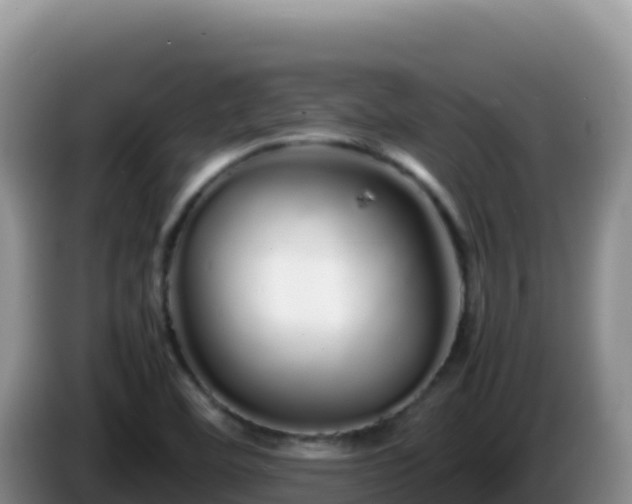 X0000086261460200704051252