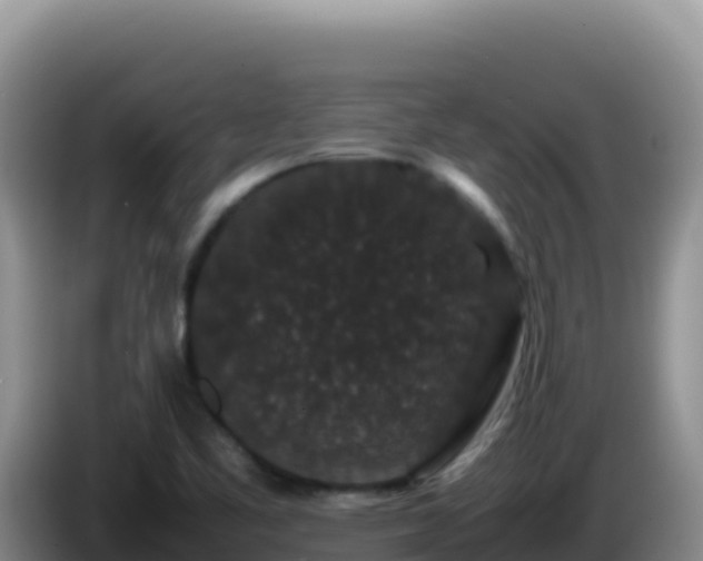 X0000086261461200704051252