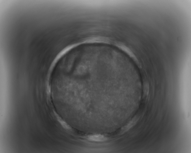X0000086261462200704051252