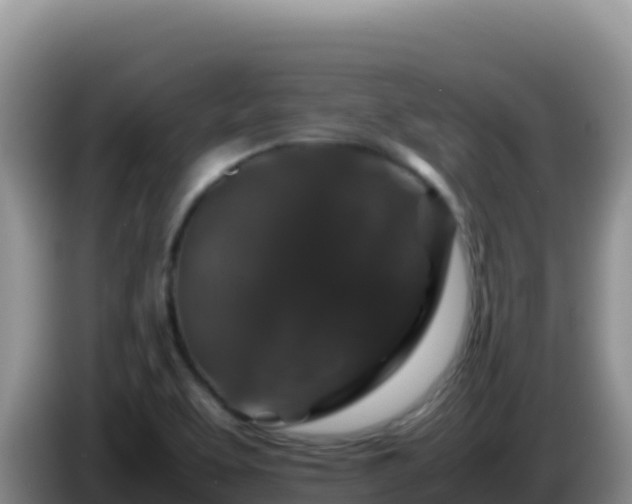 X0000086261463200704051252