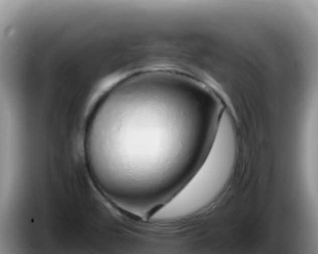 X0000086261464200704051252