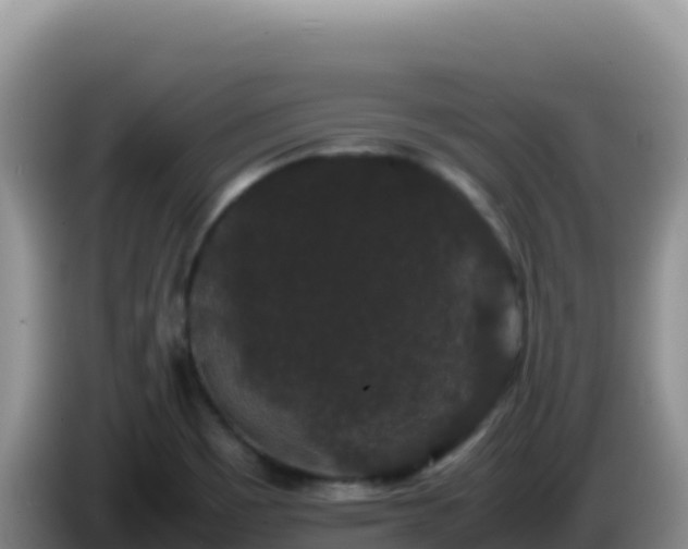 X0000086261465200704051252