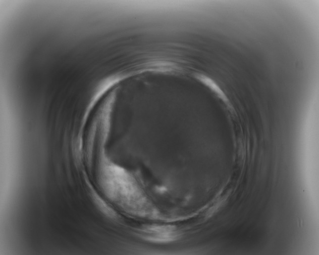 X0000086261466200704051252