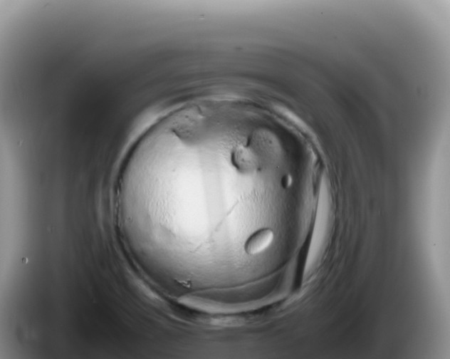 X0000086261467200704051252