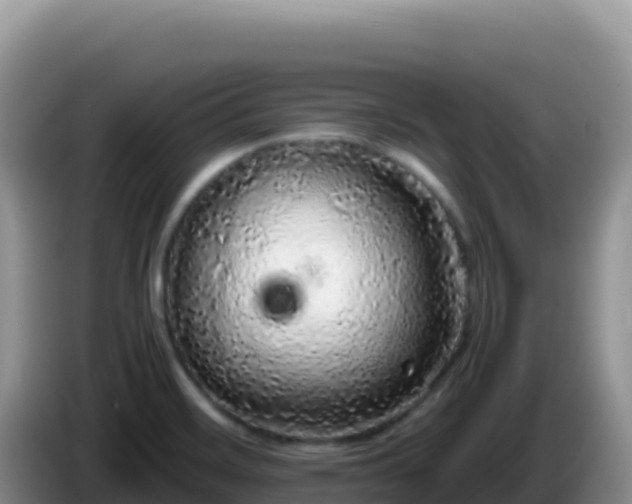 X0000086261468200704051252