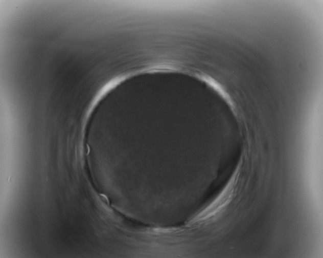 X0000086261469200704051252