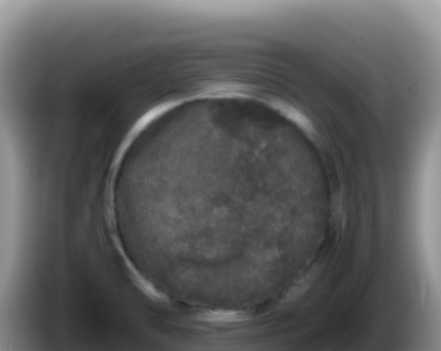X0000086261470200704051252