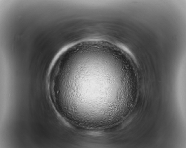 X0000086261472200704051252