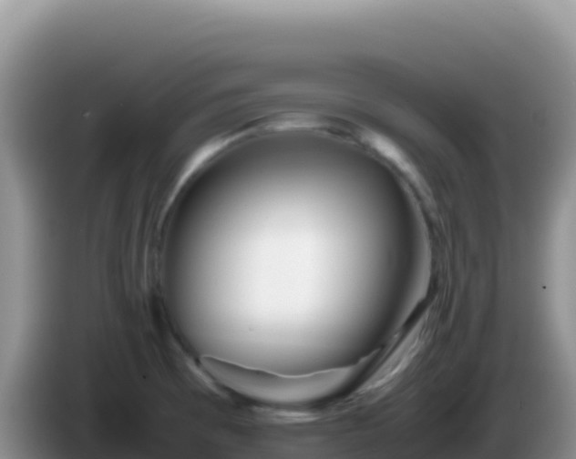 X0000086261473200704051252