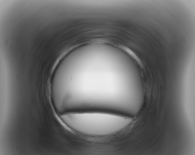 X0000086261476200704051252