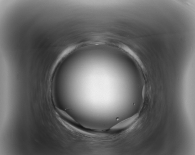 X0000086261477200704051252
