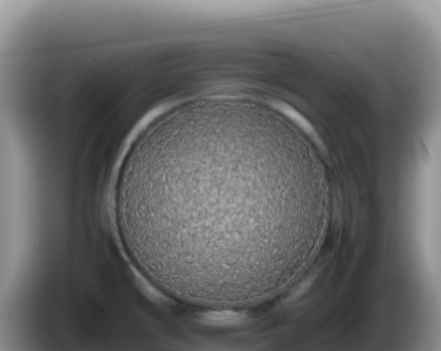 X0000086261478200704051252