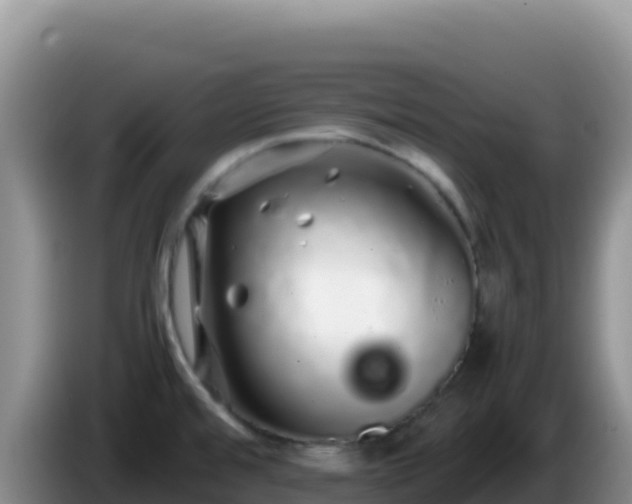 X0000086261480200704051252