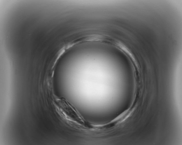 X0000086261481200704051252