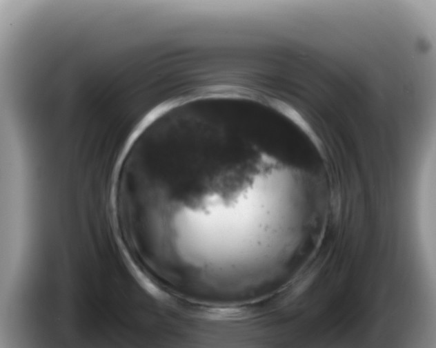 X0000086261482200704051252