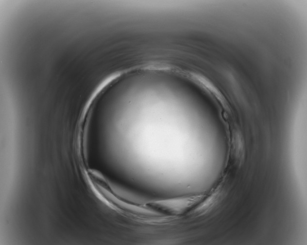 X0000086261484200704051252