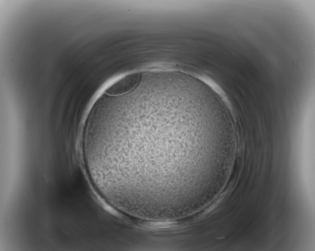 X0000086261486200704051252
