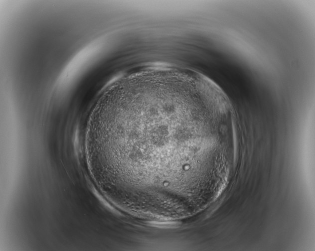 X0000086261487200704051252